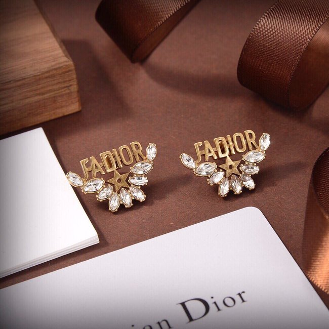 Dior Earring CSJ54335313