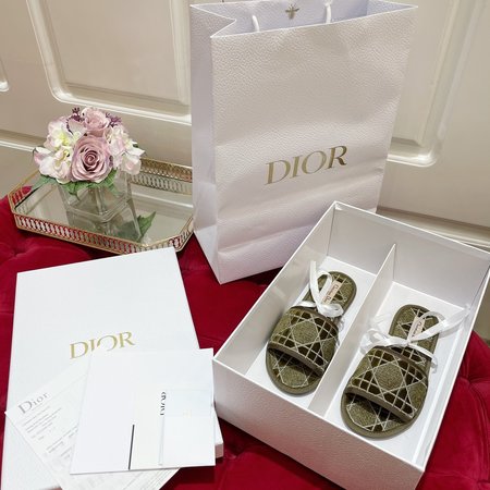 Dior Embroidered flocking slippers